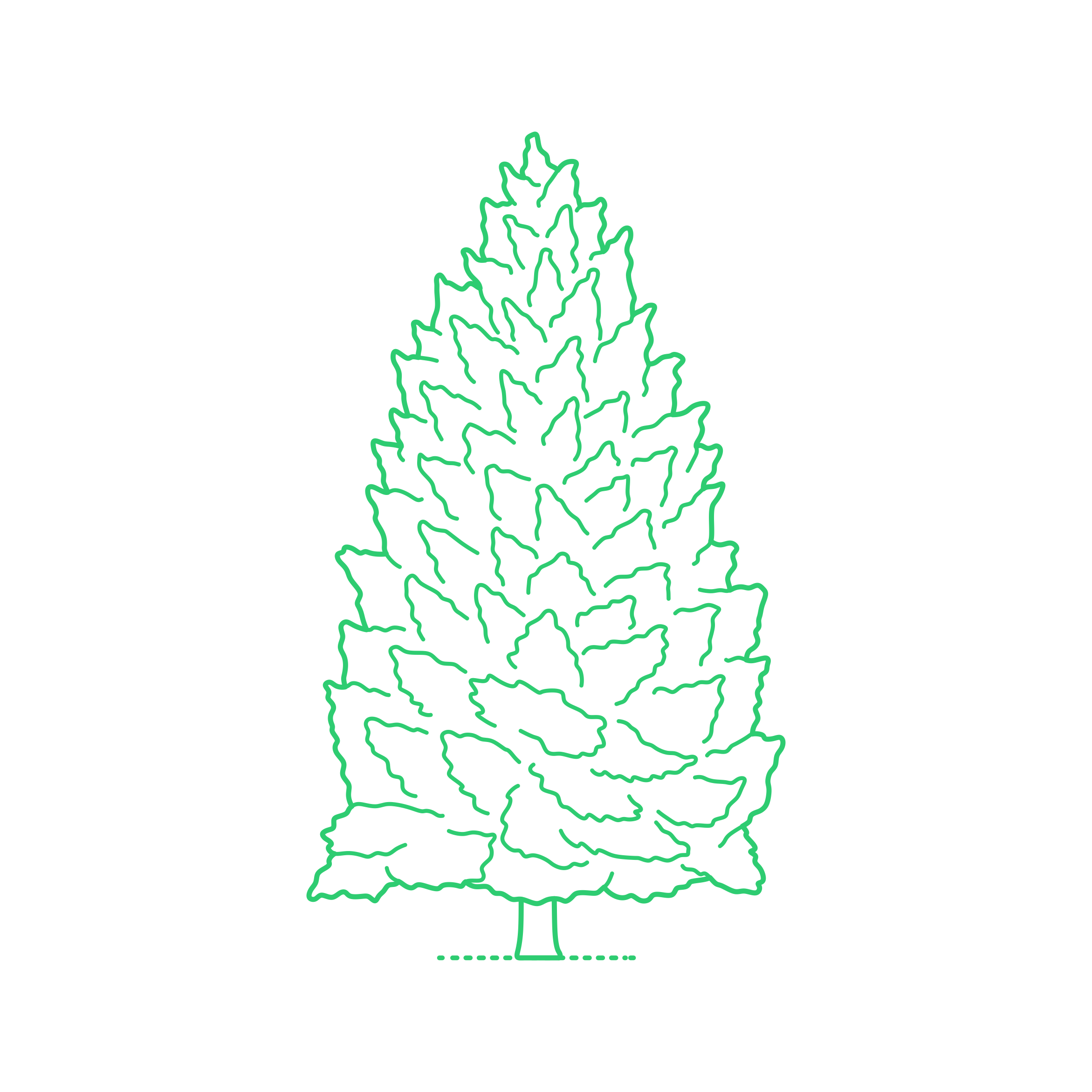 Plants Hemlocks Eastern Hemlock Outline Svg Vector Free Vectors